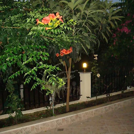 شقة Captain Georgio *