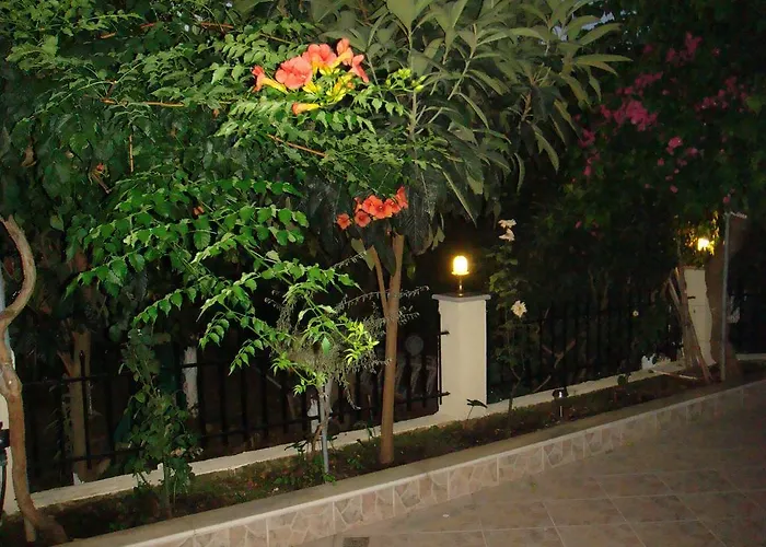 Daire Captain Georgio *